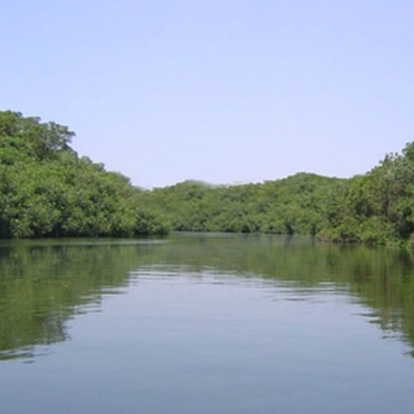 Pasear en el Río Jamapa – VERACRUZ, MARAVILLAS NATURALES